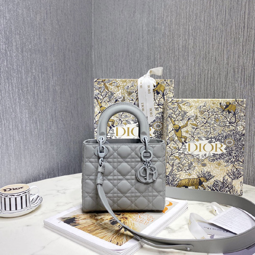 디올 MY ABCDIOR 레이디백  M0538-2