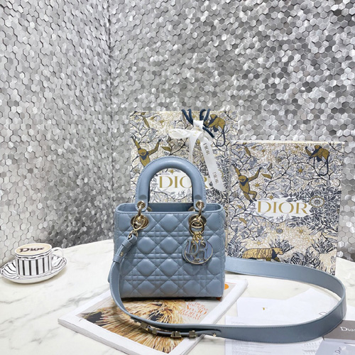 디올 MY ABCDIOR 레이디백  M0538-9