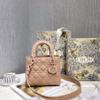 디올 MY ABCDIOR 레이디백  M0538-3